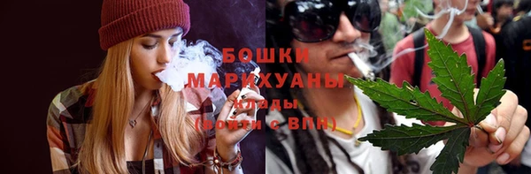 Альфа ПВП Аркадак