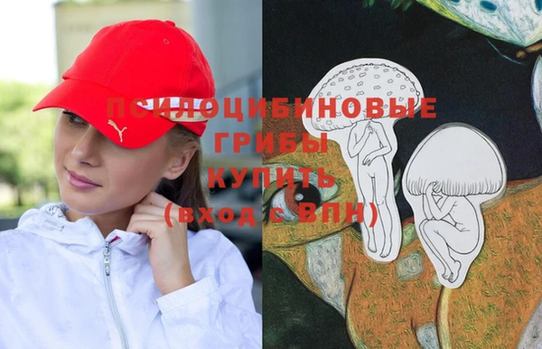 Альфа ПВП Армянск