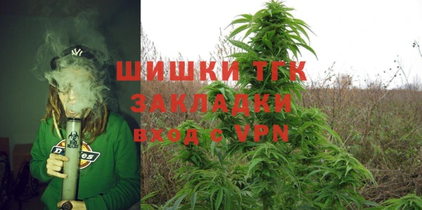 Альфа ПВП Аркадак