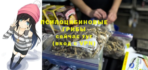 мдпв Арсеньев