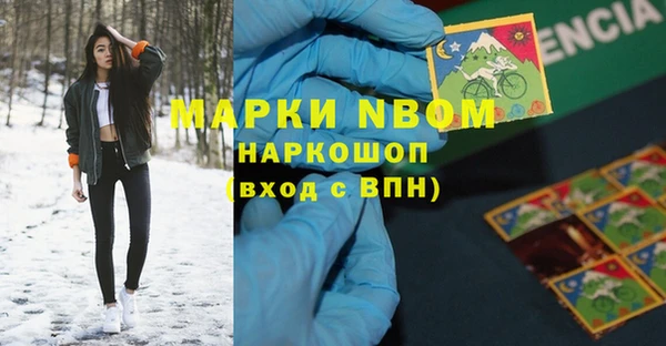 мдпв Арсеньев